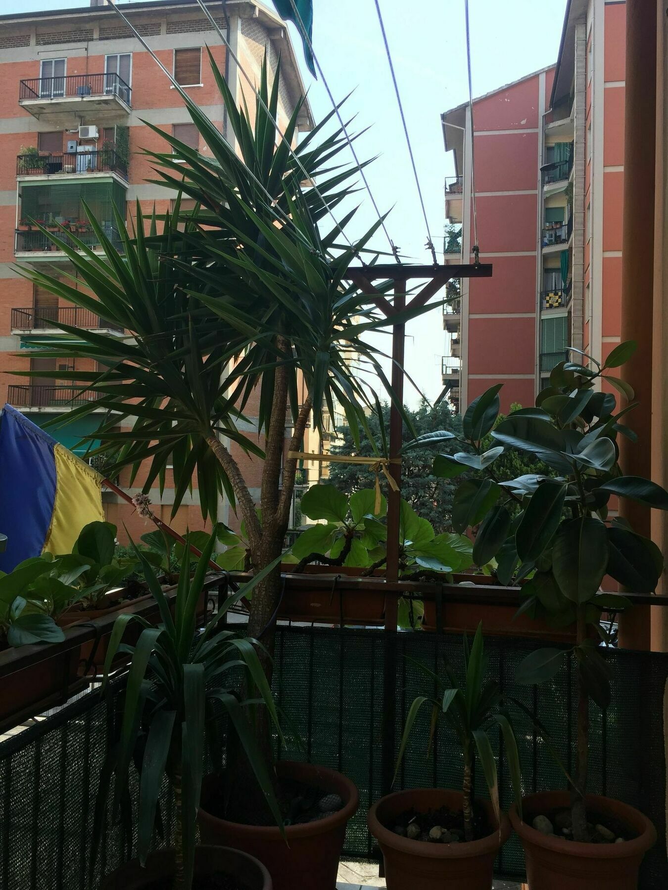 Hotel Locazione Turistica Sole Werona Zewnętrze zdjęcie